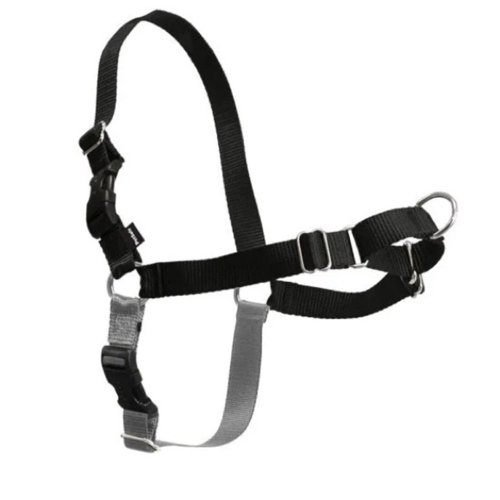 Pet Safe Easy Walk No-Pull Harness